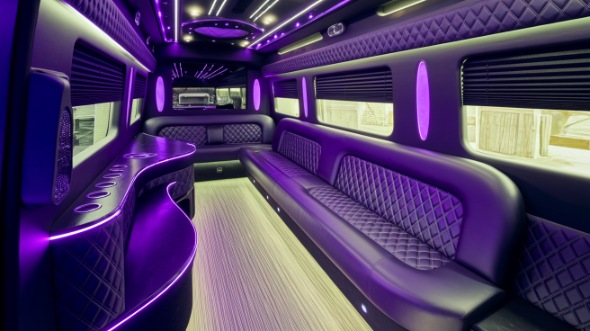 federal way sprinter limo rental interior